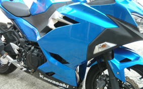 KAWASAKI NINJA 250 EX250P