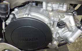 YAMAHA WR250X DG15J