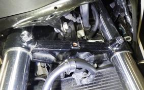 HONDA NC750X 2024 RH09