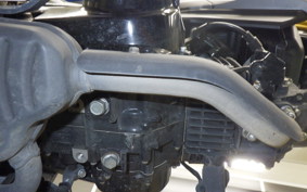 HONDA ｸﾞﾛﾑ 2024 JC75