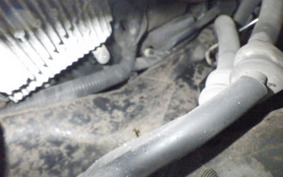 HONDA LEAD 125 2011 JF45