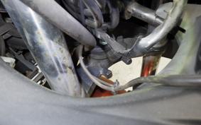 KAWASAKI NINJA 250 EX250L