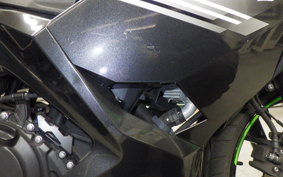 KAWASAKI NINJA 250 2 2019 EX250P