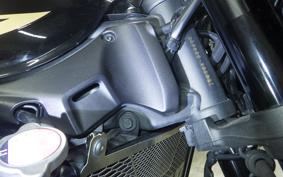 KAWASAKI Z900RS CAFE 2024 ZR900K