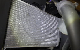 YAMAHA YZF-R25 2009 RG43J