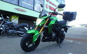 KAWASAKI Z125 PRO BR125H