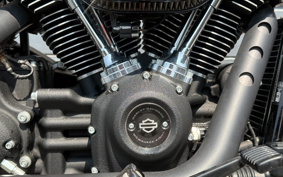 HARLEY FXBBS 2021 YYK