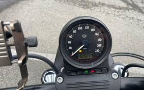 HARLEY HARLEY XL883N 2021 LE2