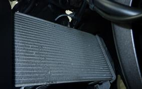 YAMAHA YZF-R3 2016 RH07J