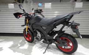 KAWASAKI Z125 PRO BR125H