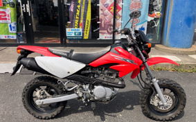 HONDA XR100 MOTARD HD13