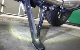 TRIUMPH SPEED TWIN 900 2024