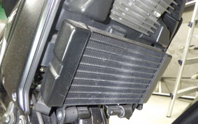 DUCATI SCRAMBLER 1100 S 2021