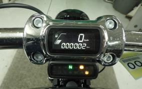 HARLEY FXBR1920 2026