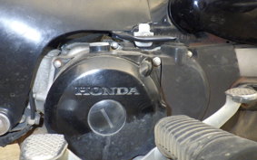 HONDA LITTLE CUB AA01