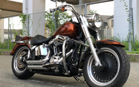 HARLEY FLSTF 2011 BX5