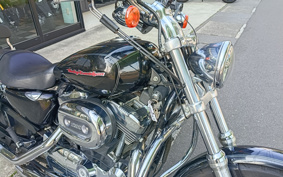 HARLEY XL1200C 2006 CGP