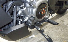 HARLEY RH975 2022