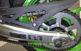 KAWASAKI ZX-4RR 2024 ZX400P