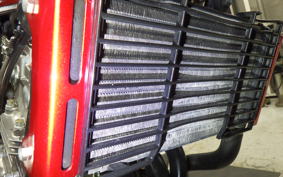 HONDA HORNET 250 1998 MC31