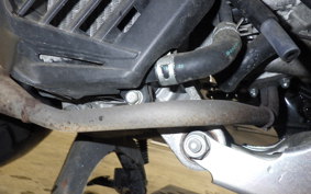 HONDA BENLY 50 2025 AA05