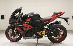 SUZUKI GSX-R1000R A 2019 DM11G
