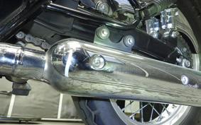 KAWASAKI W800 2015 EJ800A