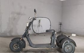 OTHER DENDOU TRIKE  ..