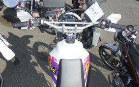 YAMAHA TT250R RAID 4GY