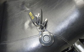 OTHER +HD. V-ROD ﾏｯｽﾙ1250 2009