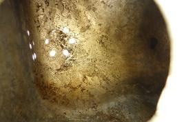 HONDA LITTLE 1982 P25