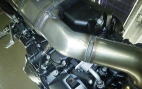 YAMAHA XSR900 GP 2026 RN96J