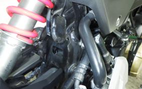 HONDA GROM 2024 JC75