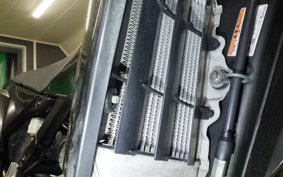 KAWASAKI KLX250D TRACKER X 2008 LX250V