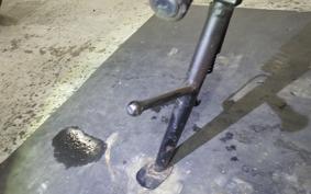 HONDA HORNET 250 MC31