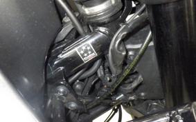 KTM 390 ADVENTURE 2021