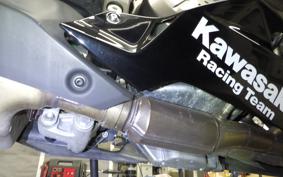 KAWASAKI NINJA ZX-6R A 2019 ZX636G