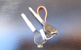 HONDA CBF 125 PCJ7