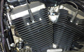 HARLEY XL883N 2015