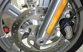 HARLEY FXST1750 2024