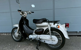 HONDA LITTLE CUB C50