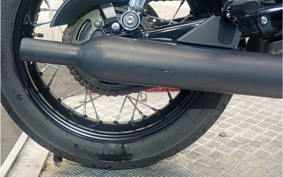 TRIUMPH BONNEVILLE T100 2019 DAD70G