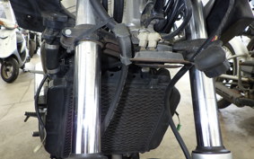 KAWASAKI ZZ-R250 2025 EX250H