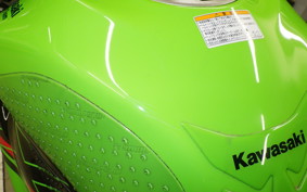 KAWASAKI NINJA ZX-6R A 2023 ZX636G