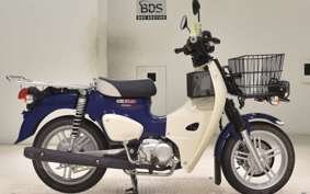 HONDA C110 SUPER CUB 2024 JA61