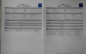 SUZUKI GSX-R1000R A 2019 DM11G