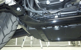 HARLEY FXLRS1920 2025