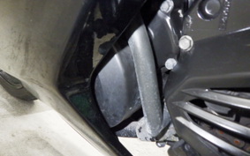 KAWASAKI NINJA 250R 2023 EX250K