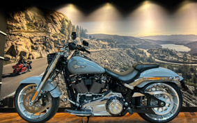 HARLEY  HARLEY FLFBS 2025 YGK