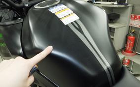 KAWASAKI VERSYS A 2024 LE650H